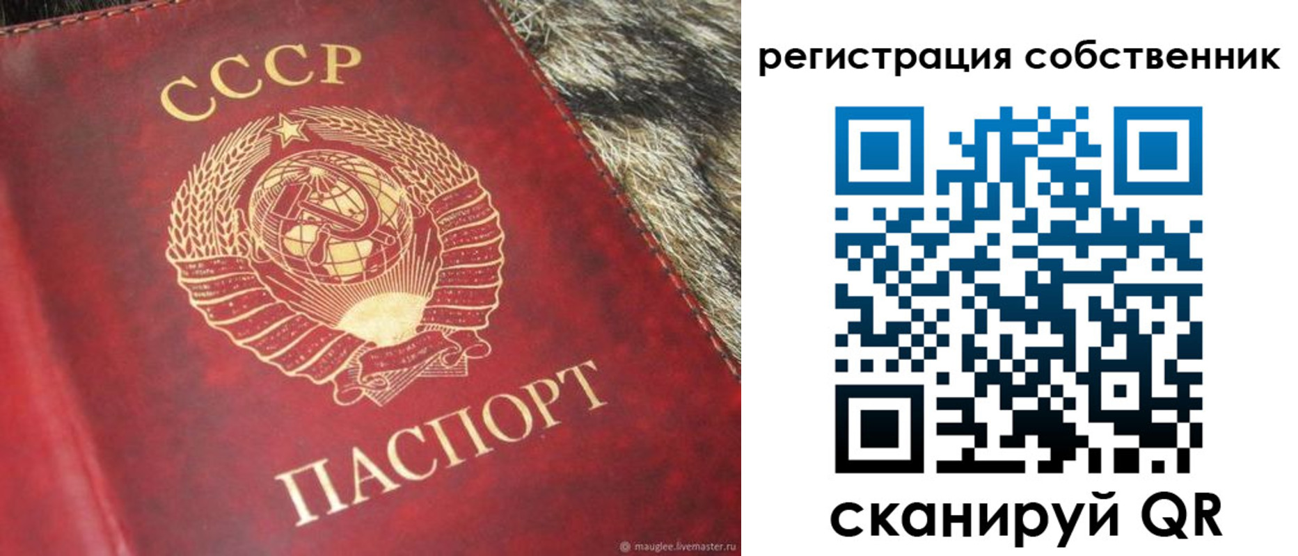 временная регистрация надежно в Змеиногорске